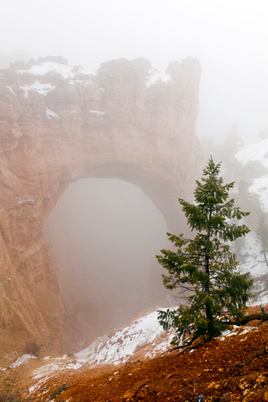 Bryce Canyon fog