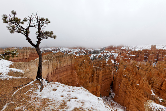Bryce Canyon snowfall